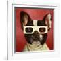 3D Dog-Lucia Heffernan-Framed Art Print