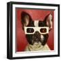 3D Dog-Lucia Heffernan-Framed Art Print