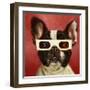 3D Dog-Lucia Heffernan-Framed Art Print