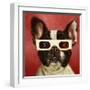 3D Dog-Lucia Heffernan-Framed Art Print