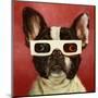 3D Dog-Lucia Heffernan-Mounted Art Print