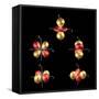 3d Electron Orbitals-Dr. Mark J.-Framed Stretched Canvas