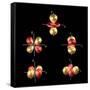 3d Electron Orbitals-Dr. Mark J.-Framed Stretched Canvas