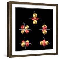 3d Electron Orbitals-Dr. Mark J.-Framed Premium Photographic Print