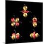 3d Electron Orbitals-Dr. Mark J.-Mounted Premium Photographic Print