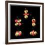 3d Electron Orbitals-Dr. Mark J.-Framed Photographic Print