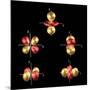 3d Electron Orbitals-Dr. Mark J.-Mounted Photographic Print