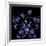 3D Flower 2-Ata Alishahi-Framed Giclee Print