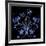 3D Flower 2-Ata Alishahi-Framed Giclee Print