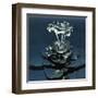 3D Flower-kjolak-Framed Art Print