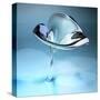 3D Glass Flower-kjolak-Stretched Canvas