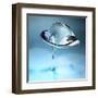 3D Glass Flower-kjolak-Framed Art Print