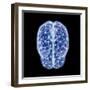 3D illustration of human brain cerebrum with network nodes.-Hank Grebe-Framed Art Print