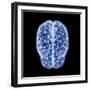 3D illustration of human brain cerebrum with network nodes.-Hank Grebe-Framed Art Print