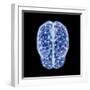 3D illustration of human brain cerebrum with network nodes.-Hank Grebe-Framed Art Print