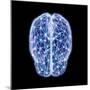 3D illustration of human brain cerebrum with network nodes.-Hank Grebe-Mounted Art Print