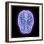 3D illustration of human brain cerebrum with network nodes.-Hank Grebe-Framed Art Print