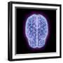 3D illustration of human brain cerebrum with network nodes.-Hank Grebe-Framed Art Print