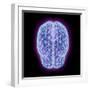 3D illustration of human brain cerebrum with network nodes.-Hank Grebe-Framed Art Print