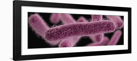 3D illustration of the rod-shaped, drug-resistant, Shigella bacteria.-Stocktrek Images-Framed Art Print