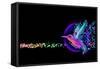 3D Render of Colibri Bird - Hummingbird with Stars-April Cat-Framed Stretched Canvas