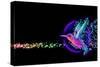 3D Render of Colibri Bird - Hummingbird with Stars-April Cat-Stretched Canvas