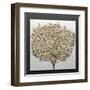 3D Render Picture in Gold Coral-deckorator-Framed Art Print