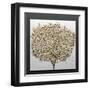 3D Render Picture in Gold Coral-deckorator-Framed Art Print