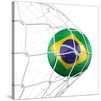 3D Rendering Of A Brazilian Soccer Ball In A Net-zentilia-Stretched Canvas