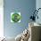 3D Rendering Of A Brazilian Soccer Ball Isolated On A White Background-zentilia-Mounted Art Print displayed on a wall