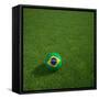 3D Rendering Of A Brazilian Soccerball Lying On Grass-zentilia-Framed Stretched Canvas
