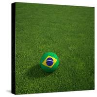 3D Rendering Of A Brazilian Soccerball Lying On Grass-zentilia-Stretched Canvas