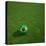 3D Rendering Of A Brazilian Soccerball Lying On Grass-zentilia-Stretched Canvas