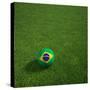 3D Rendering Of A Brazilian Soccerball Lying On Grass-zentilia-Stretched Canvas