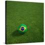 3D Rendering Of A Brazilian Soccerball Lying On Grass-zentilia-Stretched Canvas