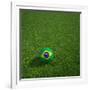 3D Rendering Of A Brazilian Soccerball Lying On Grass-zentilia-Framed Photographic Print