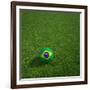 3D Rendering Of A Brazilian Soccerball Lying On Grass-zentilia-Framed Photographic Print