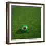 3D Rendering Of A Brazilian Soccerball Lying On Grass-zentilia-Framed Photographic Print