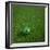 3D Rendering Of A Brazilian Soccerball Lying On Grass-zentilia-Framed Photographic Print