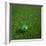 3D Rendering Of A Brazilian Soccerball Lying On Grass-zentilia-Framed Photographic Print