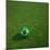 3D Rendering Of A Brazilian Soccerball Lying On Grass-zentilia-Mounted Photographic Print