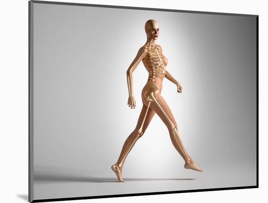 3D Rendering of a Naked Woman Walking, with Skeletal Bones Superimposed-null-Mounted Art Print