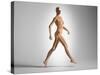 3D Rendering of a Naked Woman Walking, with Skeletal Bones Superimposed-null-Stretched Canvas