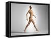 3D Rendering of a Naked Woman Walking, with Skeletal Bones Superimposed-null-Framed Stretched Canvas