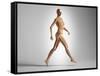 3D Rendering of a Naked Woman Walking, with Skeletal Bones Superimposed-null-Framed Stretched Canvas