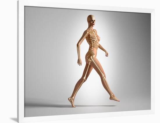 3D Rendering of a Naked Woman Walking, with Skeletal Bones Superimposed-null-Framed Art Print