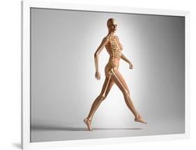 3D Rendering of a Naked Woman Walking, with Skeletal Bones Superimposed-null-Framed Art Print