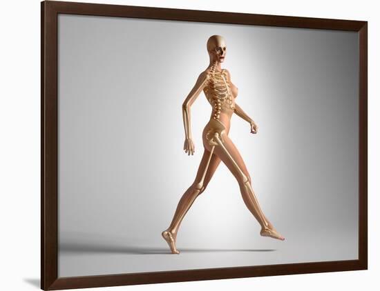 3D Rendering of a Naked Woman Walking, with Skeletal Bones Superimposed-null-Framed Art Print