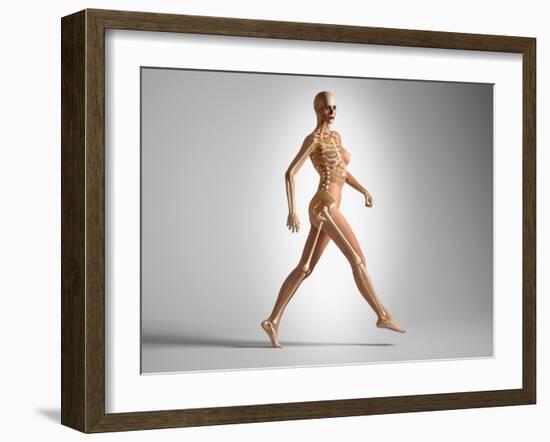 3D Rendering of a Naked Woman Walking, with Skeletal Bones Superimposed-null-Framed Art Print