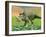 3D Rendering of a Styracosaurus Dinosaur-null-Framed Art Print